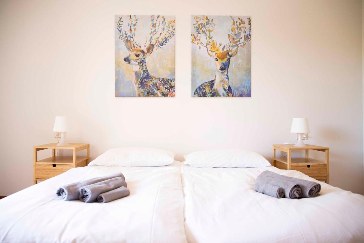 Cloud 9 - Apartment With Stunning Lake View Belgirate Eksteriør billede